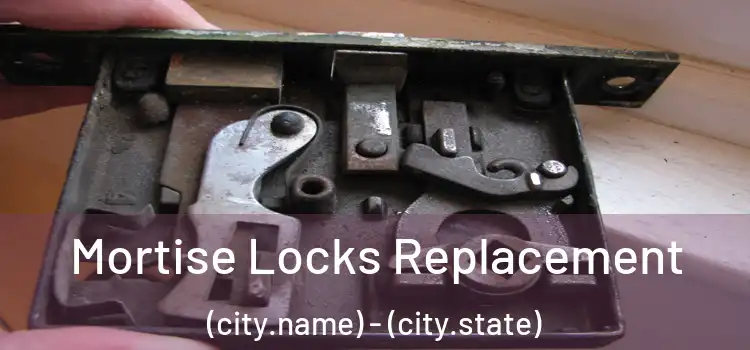 Mortise Locks Replacement (city.name) - (city.state)